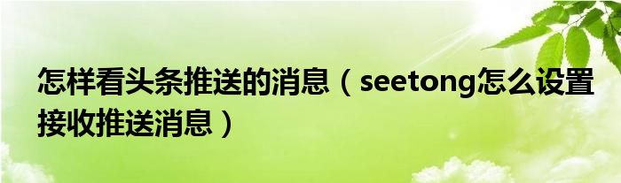怎样看头条推送的消息seetong怎么设置接收推送消息