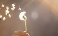 您无法满足每个人的期望真的。