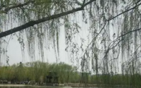 有时您必须像对待有过分欢迎的客人一样对待怀旧