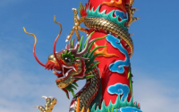 如何与你的龙交朋友