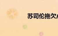 苏司伦拖欠卢比 7256万