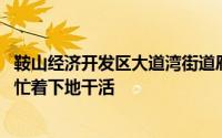 鞍山经济开发区大道湾街道雁浪岩寨村耕地上的秸秆打包机 忙着下地干活