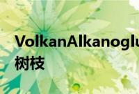 VolkanAlkanoglu设计的雪松桥类似于浮木树枝