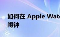如何在 Apple Watch 上设置静音但振动的闹钟