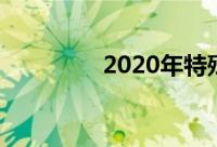 2020年特殊一年总结开头