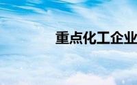重点化工企业退出电池行业