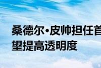 桑德尔·皮帅担任首席执行官的字母投资者希望提高透明度