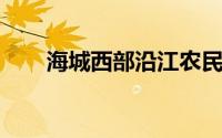 海城西部沿江农民掀起水稻育种高潮