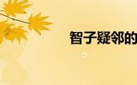智子疑邻的寓意及翻译