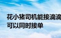 花小猪司机能接滴滴单吗 花小猪跟滴滴可不可以同时接单