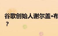 谷歌创始人谢尔盖·布林和拉里·佩奇是朋友吗？