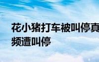 花小猪打车被叫停真的假的 花小猪打车为何频遭叫停