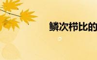 鳞次栉比的意思及造句
