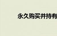 永久购买并持有两只罗宾汉股票