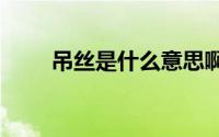 吊丝是什么意思啊 ds是什么意思啊