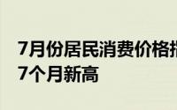 7月份居民消费价格指数同比上涨2.8%创近17个月新高