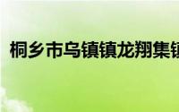桐乡市乌镇镇龙翔集镇地块总起价7.53亿元