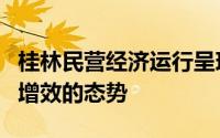 桂林民营经济运行呈现总体稳定稳中提质稳中增效的态势