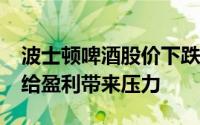 波士顿啤酒股价下跌26% 因为汽水销售疲软给盈利带来压力