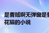 是曹贼啊无弹窗是曹贼啊最新章节全文阅读五花猫的小说