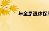 年金是退休保障的好投资吗？