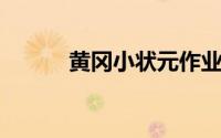 黄冈小状元作业本和达标卷区别