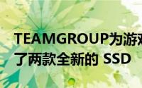 TEAMGROUP为游戏玩家和内容创作者推出了两款全新的 SSD
