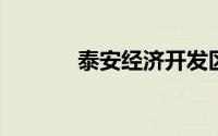 泰安经济开发区企业逐步复工