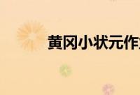 黄冈小状元作业本和达标卷区别