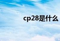 cp28是什么 cp28是什么意思