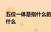 五位一体是指什么的总体布局 五位一体是指什么