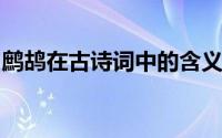 鹧鸪在古诗词中的含义是什么有哪些象征意义