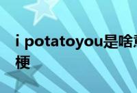 i potatoyou是啥意思 I potato you是什么梗