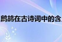 鹧鸪在古诗词中的含义是什么有哪些象征意义