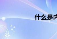 什么是内能和机械能