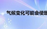 气候变化可能会使珊瑚礁在2100年灭绝