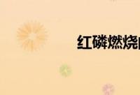 红磷燃烧的现象和结论