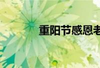 重阳节感恩老人的句子有什么