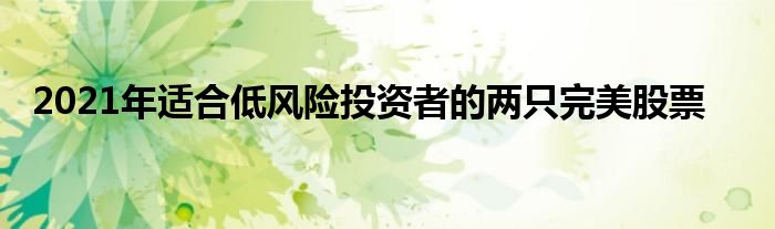 2021年适合低风险投资者的两只完美股票