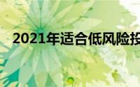 2021年适合低风险投资者的两只完美股票