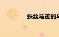 蛛丝马迹的马是什么意思