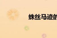 蛛丝马迹的马是什么意思