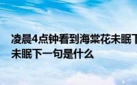 凌晨4点钟看到海棠花未眠下一句 凌晨四点钟我看到海棠花未眠下一句是什么