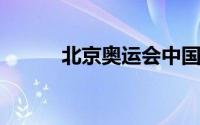 北京奥运会中国共获得多少金牌