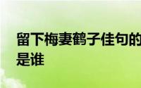 留下梅妻鹤子佳句的诗人是谁 梅妻鹤子指的是谁