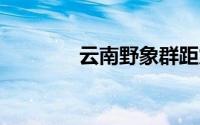 云南野象群距震中约15公里