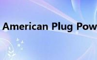 American Plug Power扩大其在欧洲的活动