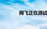 网飞正在测试随机播放按钮