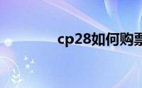 cp28如何购票 cp28是什么