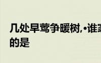 几处早莺争暖树,·谁家新燕啄春泥中的新燕指的是